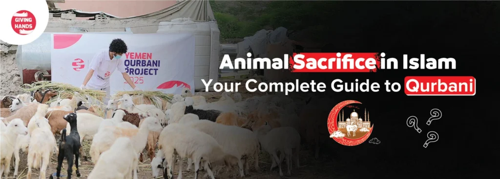 Animal sacrifice in islam​