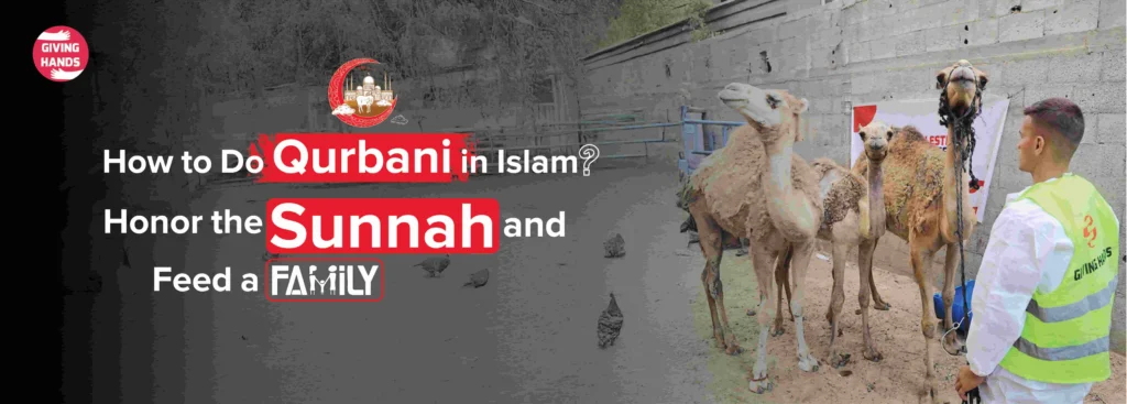How to do qurbani in islam​?