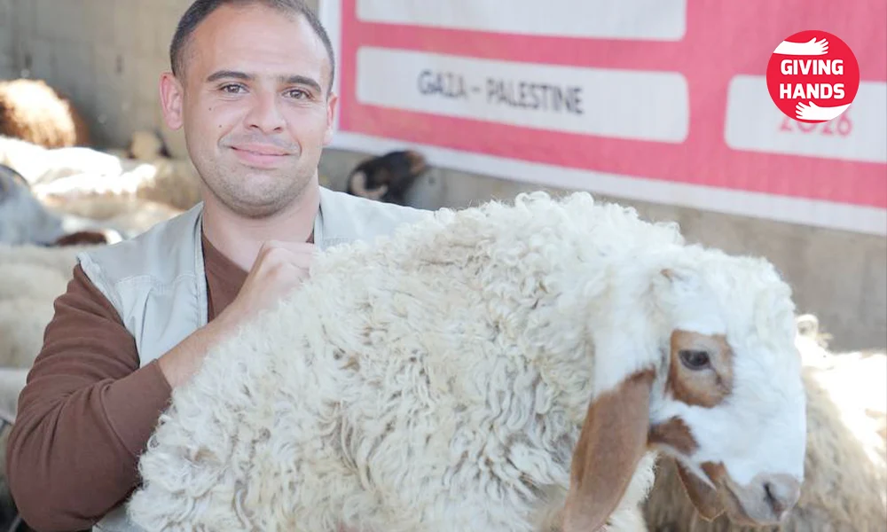 أضحية Giving Hands 2026: دليلك الكامل للأضحية 2 How We Deliver the Meat Quickly?