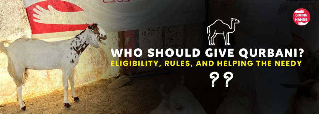 Who should give qurbani​?